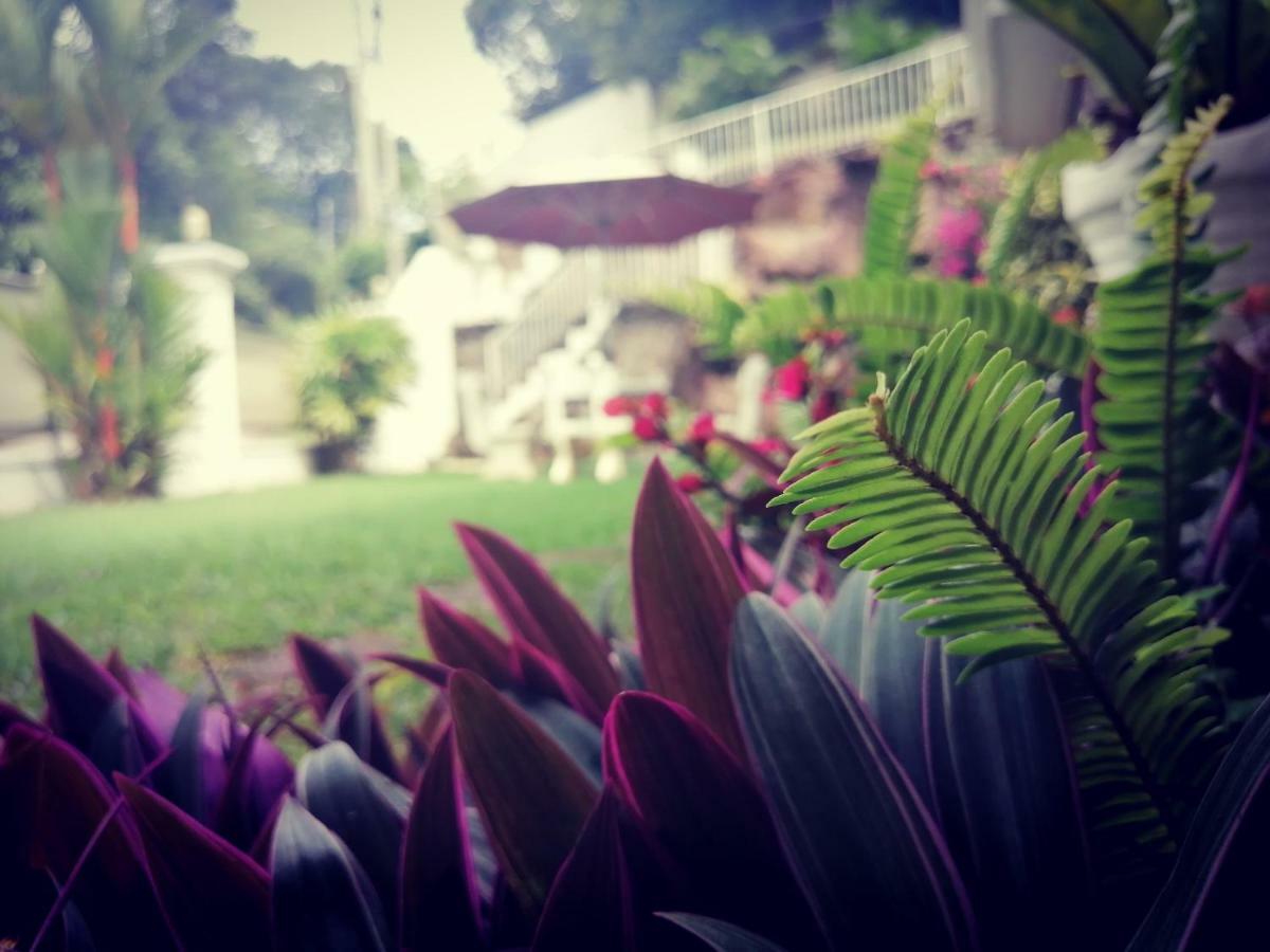 Anna Shanthi Villa Kandy Exterior photo